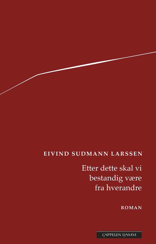 "Etter dette skal vi bestandig være fra hverandre - roman" av Eivind Sudmann Larssen