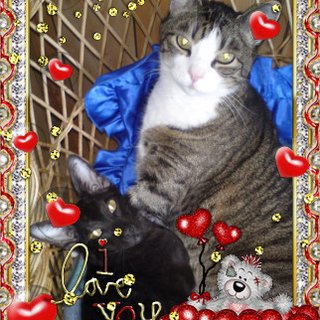 Laila Anna Maria Henriksen