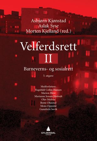 Velferdsrett II - barneverns- og sosialrett