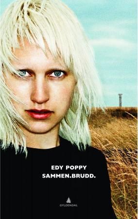 "Sammen. Brudd noveller" av Edy Poppy