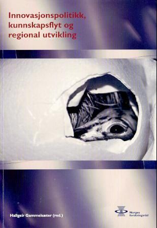 Innovasjonspolitikk, kunnskapsflyt og regional utvikling