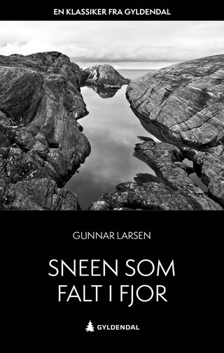"Sneen som falt i fjor" av Gunnar Larsen