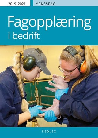 Fagopplæring i bedrift 2019-2021