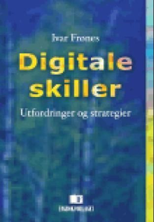 Digitale skiller - utfordringer og strategier