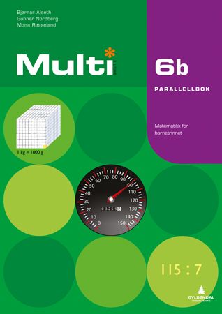"Multi 6b, 2. utgave - Parallellbok" av Bjørnar Alseth