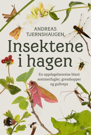 Insektene i hagen - en oppdagelsesreise blant sommerfugler, gresshopper og gullveps