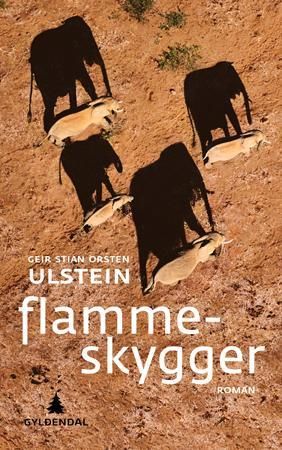 Flammeskygger - roman