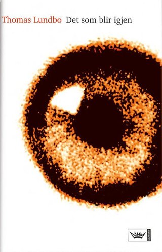 Det som blir igjen - poesi og prosa