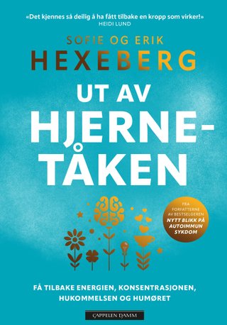 Ut av hjernetåken - få tilbake energien, konsentrasjonen, hukommelsen og humøret