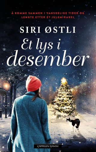 "Et lys i desember" av Siri Østli