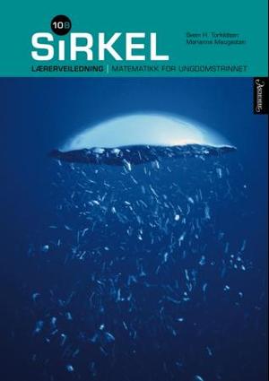 "Sirkel 10B" av Svein H. Torkildsen