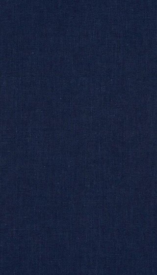 Carl Johan sett med samtidens øyne