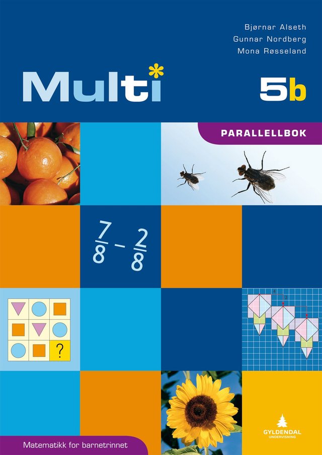 "Multi 5b - parallellbok" av Bjørnar Alseth