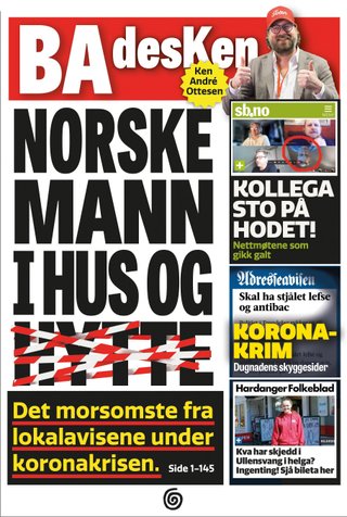 Norske mann i hus og hytte