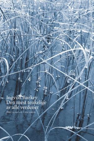 "Den mest tenkelige av alle verdener - dikt" av Ingvild Burkey