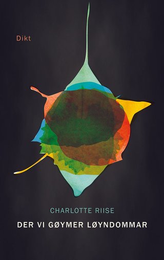 Der vi gøymer løyndommar - dikt