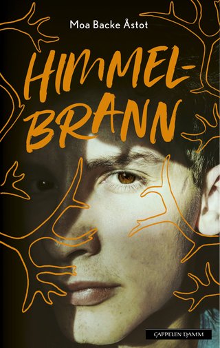 "Himmelbrann" av Moa Backe Åstot