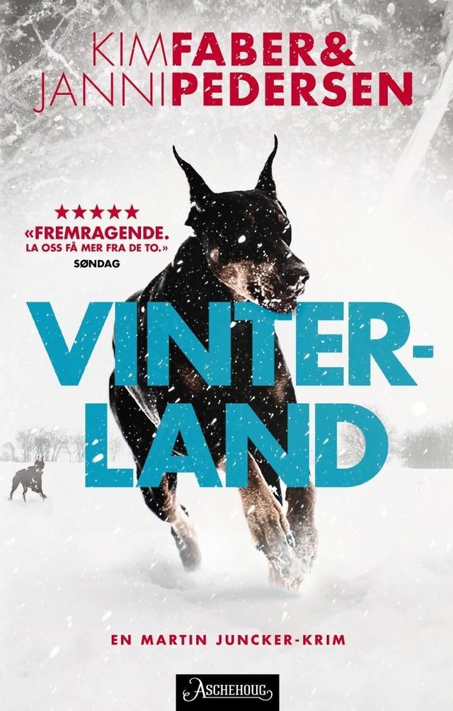 "Vinterland" av Kim Faber