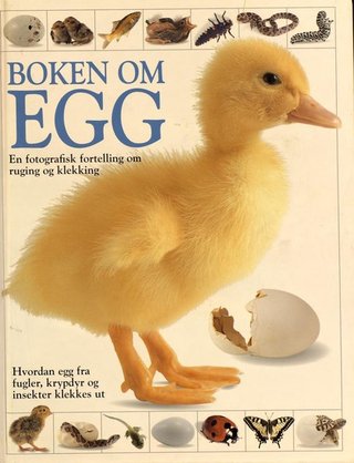 Boken om egg - en fotografisk fortelling om ruging og klekking