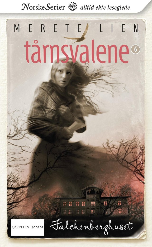 "Falchenberghuset" av Merete Lien