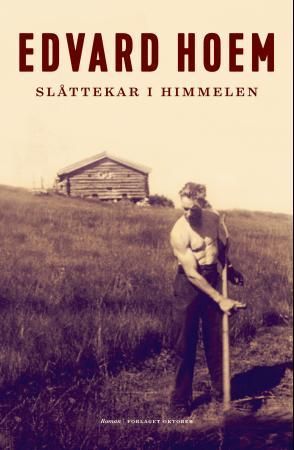 "Slåttekar i himmelen - roman" av Edvard Hoem