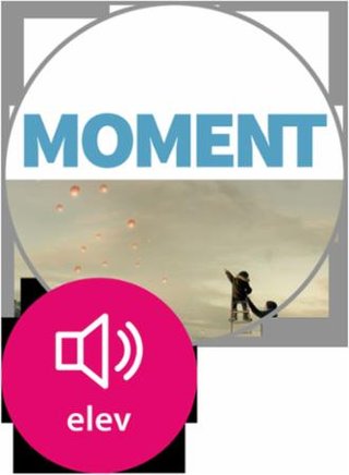 "Moment vg1" av Tor Ivar Østmoe