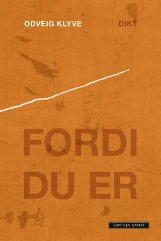 Fordi du er - dikt