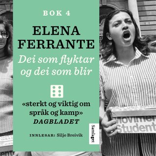 Dei som flyktar og dei som blir - mellomår : roman