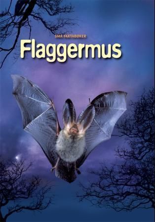 "Flaggermus" av Megan Cullis