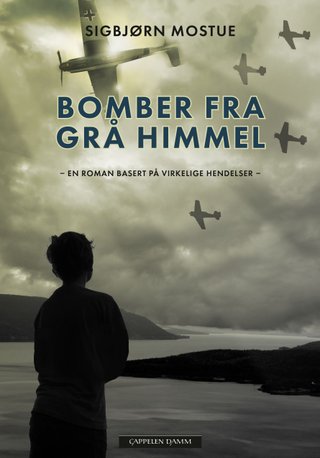 Bomber fra grå himmel - en roman basert på virkelige hendelser