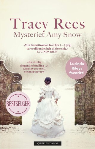 "Mysteriet Amy Snow" av Tracy Rees