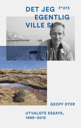 Det jeg egentlig ville si - essays i utvalg