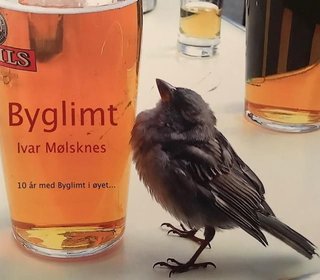 "Byglimt" av Ivar Mølsknes