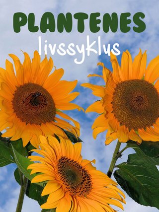 Plantenes livssyklus