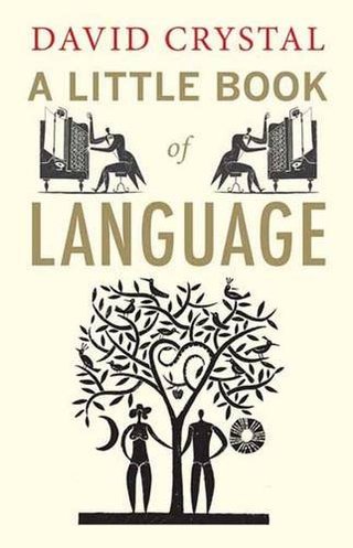 "A Little Book of Language" av David Crystal
