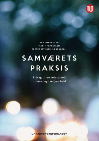 Samværets praksis - bidrag til en relasjonell tilnærming i miljøarbeid