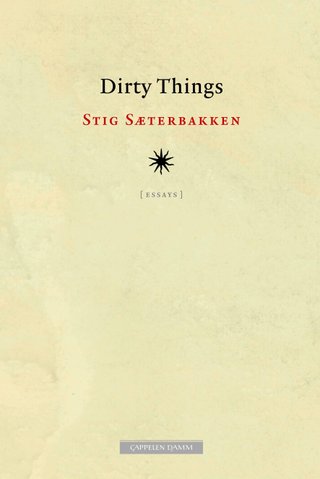 Dirty things - essays