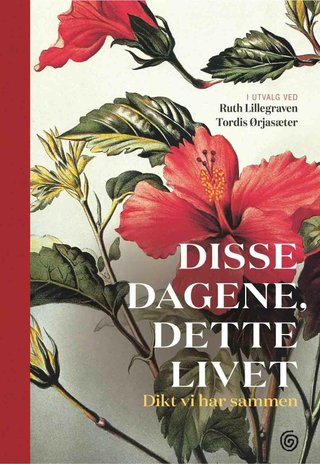 "Disse dagene, dette livet" av Ruth Lillegraven