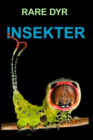Insekter