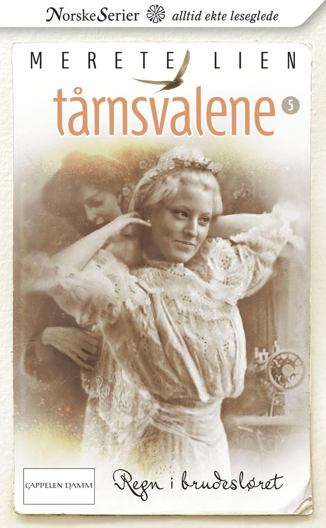 "Regn i brudesløret" av Merete Lien