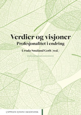Verdier og visjoner - profesjonalitet i endring