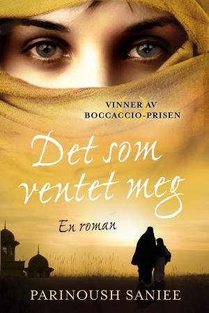 "Det som ventet meg" av Parinoush Saniee