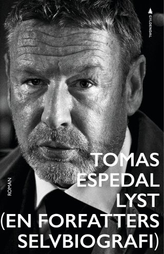 Lyst - (en forfatters selvbiografi) : roman