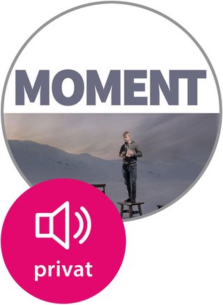 Moment vg2 - lyd, privatlisens
