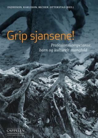 Grip sjansene! - profesjonskompetanse, barn og kulturelt mangfold
