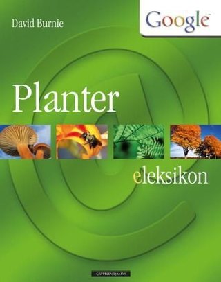 Planter - eLeksikon