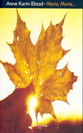 Maria, Maria - roman