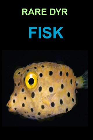 Fisk