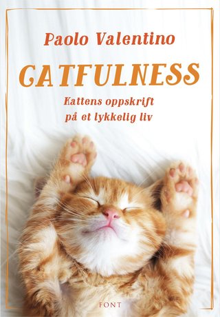 Catfulness - kattens oppskrift på et lykkelig liv