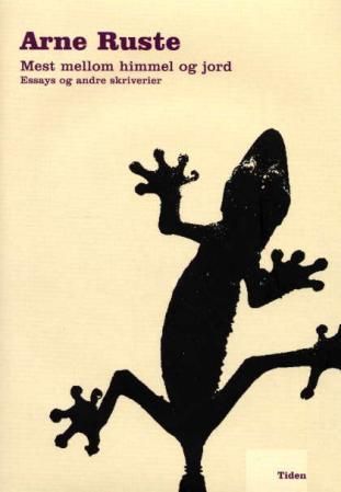 Mest mellom himmel og jord - essays og andre skriverier